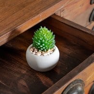 荷蘭Emerald人造植栽 千佛手多肉植物