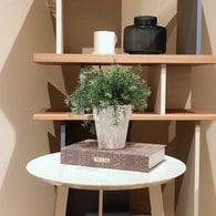 荷蘭Emerald人造植栽 蘆筍葉灌木 (白盆)