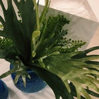 荷蘭Emerald人造植物 鹿角蕨 (長41公分)