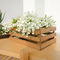 荷蘭Emerald人造植物 白色風鈴草