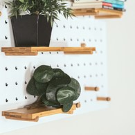 荷蘭 Emerald人造植物 鏡面草