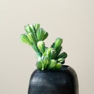 荷蘭 Emerald人造植物 仙人掌