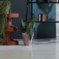 荷蘭Emerald人造植物 銀星秋海棠(30公分)