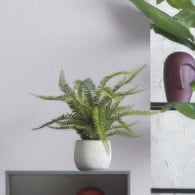 荷蘭Emerald人造植栽 羊齒蕨 (膠盆、55公分)