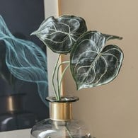 荷蘭Emerald人造植物 圓葉花燭(62公分)