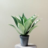 荷蘭Emerald人造植栽 小龍舌蘭灌木 (膠盆、15葉)
