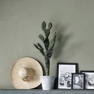 荷蘭Emerald人造植栽 以色列仙人掌 (灰盆、80公分)