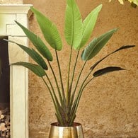 荷蘭Emerald人造植栽 芭蕉葉土盆 (180公分)