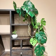 荷蘭Emerald人造植栽 龜背芋藤蔓 (110公分)