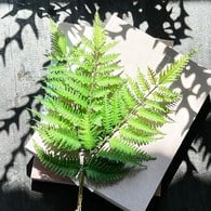 荷蘭Emerald人造植栽 樹蕨 (三株、長58公分)