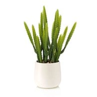 荷蘭Emerald人造植栽龍骨仙人掌 (28公分)