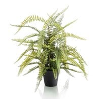 荷蘭Emerald人造植栽波士頓蕨 (70公分)