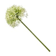 荷蘭Emerald人造花藝奶油綠繡球蔥 (長62公分)