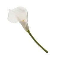 荷蘭Emerald人造花藝白海芋 (長70公分)
