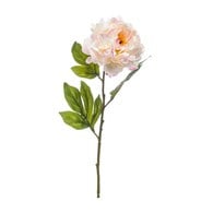 荷蘭Emerald人造花藝粉牡丹 (長77公分)