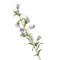 荷蘭Emerald人造花藝 風鈴草-淺紫 (88cm)