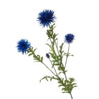 荷蘭Emerald人造花藝 矢車菊-藍色 (100cm)