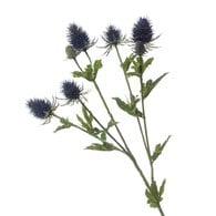 荷蘭Emerald人造花藝 刺芹-藍色 (70cm)