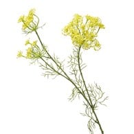 荷蘭Emerald人造花藝 蒔蘿花-黃色 (87cm)