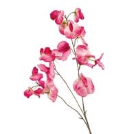 荷蘭Emerald人造花藝 香豌豆花-粉色 (75cm)