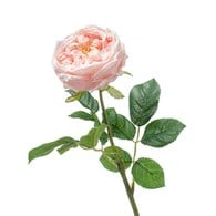 荷蘭Emerald人造花藝 珍妮玫瑰-桃粉色 (60cm)