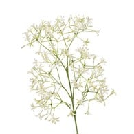 荷蘭Emerald人造花藝 虎耳草花-奶油色 (63cm)