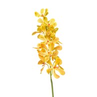 荷蘭Emerald人造花藝 萬代蘭-黃色 (80cm)