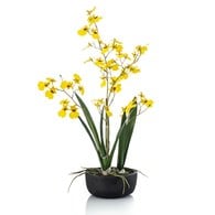 荷蘭Emerald人造花藝 文心蘭盆栽-黃色 (58cm)