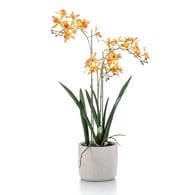荷蘭Emerald人造花藝 腎藥蘭盆栽-黃橘色 (56cm)