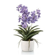 荷蘭Emerald人造花藝 萬代蘭盆栽-紫色 (60cm)