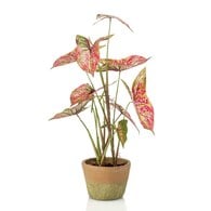 荷蘭Emerald人造植物 彩葉芋紅綠色-陶盆 (60cm)