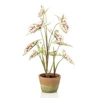 荷蘭Emerald人造植物 彩葉芋奶紅色-陶盆 (60cm)