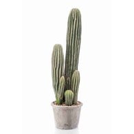 荷蘭Emerald人造植物 聖佩德羅仙人掌-灰盆 (57cm)