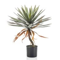 荷蘭Emerald人造植物 絲蘭盆栽 (75cm)