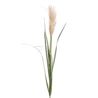 荷蘭Emerald人造植物 潘帕斯草-淺棕色 (120cm)