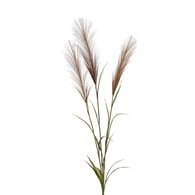 荷蘭Emerald人造植物 潘帕斯草-棕色 (90cm)