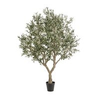 荷蘭Emerald人造植物 橄欖樹盆栽 (250cm)