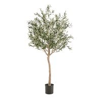 荷蘭Emerald人造植物 橄欖樹盆 (180cm)