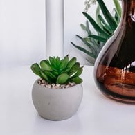 荷蘭Emerald人造植栽 阿吉塔玫瑰多肉植物