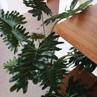 荷蘭Emerald人造植栽 蔓綠絨綠葉叢 (高95公分)