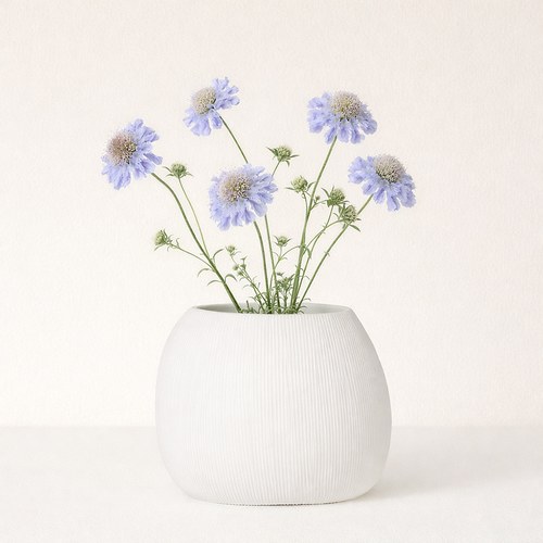 德國Guaxs玻璃花器CLEMENTE系列(蛋白石、高20公分)