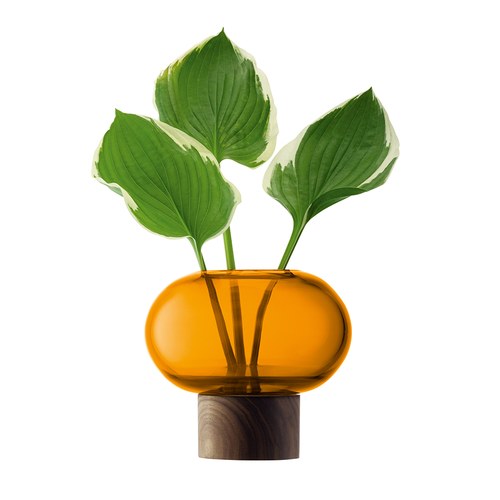 英國LSA 歐式禪風花器 (琥珀、高13.5公分)