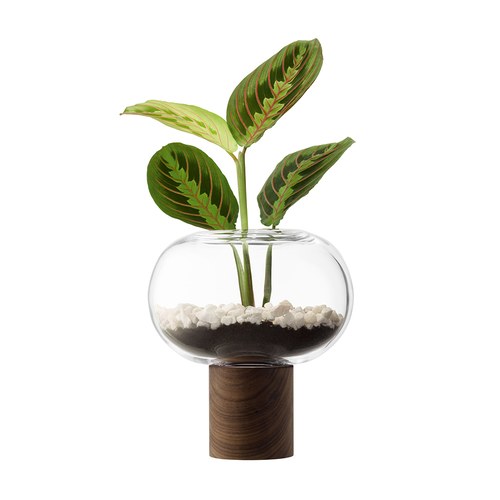 英國LSA 歐式禪風花器 (透明、高21.5公分)