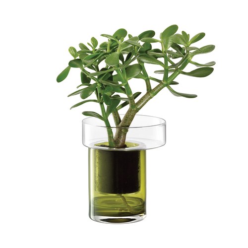 英國LSA 陽臺自動澆水花槽 (橄欖綠、高19公分)-BD01