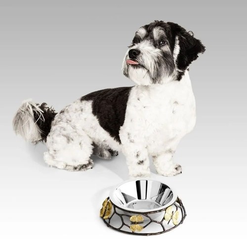 美國Michael Aram 銀杏蝴蝶翅膀寵物碗