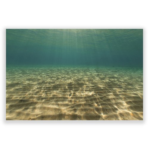 美國TwoPalms 海洋潛水掛畫 (114公分)