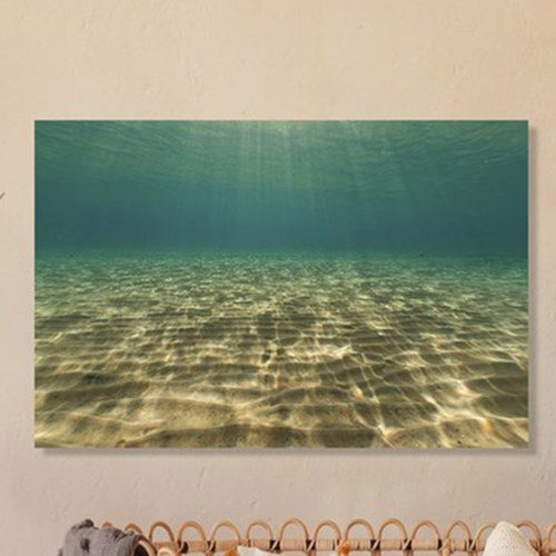 美國TwoPalms 海洋潛水掛畫 (114公分)