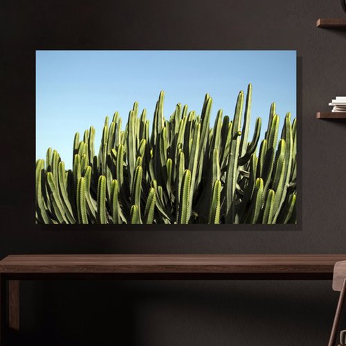 美國TwoPalms 青空仙人掌掛畫 (114公分)