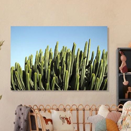 美國TwoPalms 青空仙人掌掛畫 (114公分)