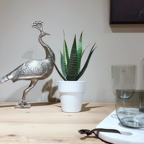 荷蘭Emerald人造植栽 費拉蘆薈 (白盆)